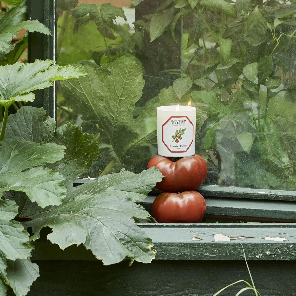 Lumânare parfumată Tomată