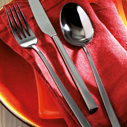 Set de tacâmuri 24 piese Linea Q Black