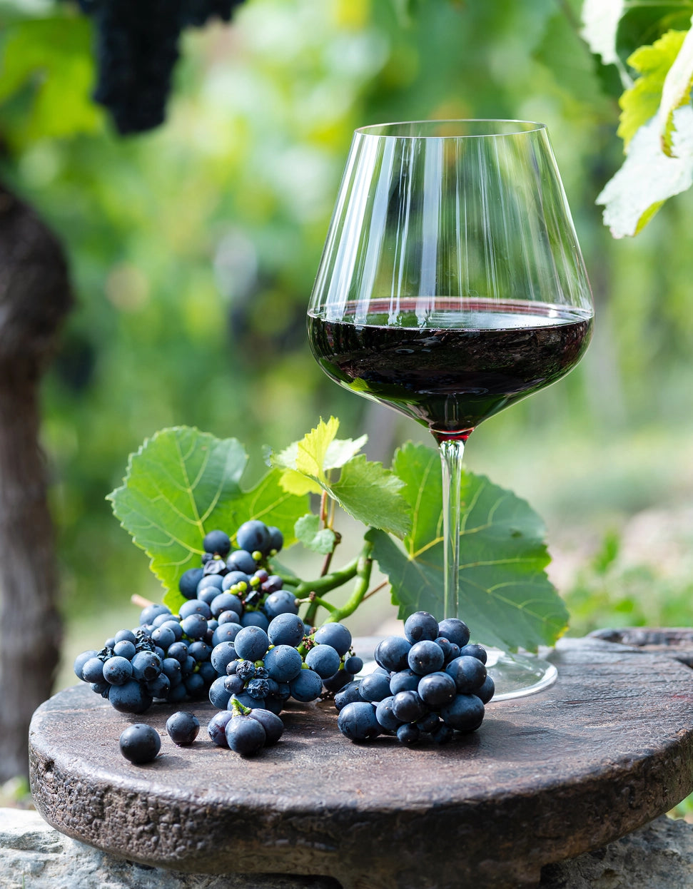 Set de două pahare din cristal Oeno