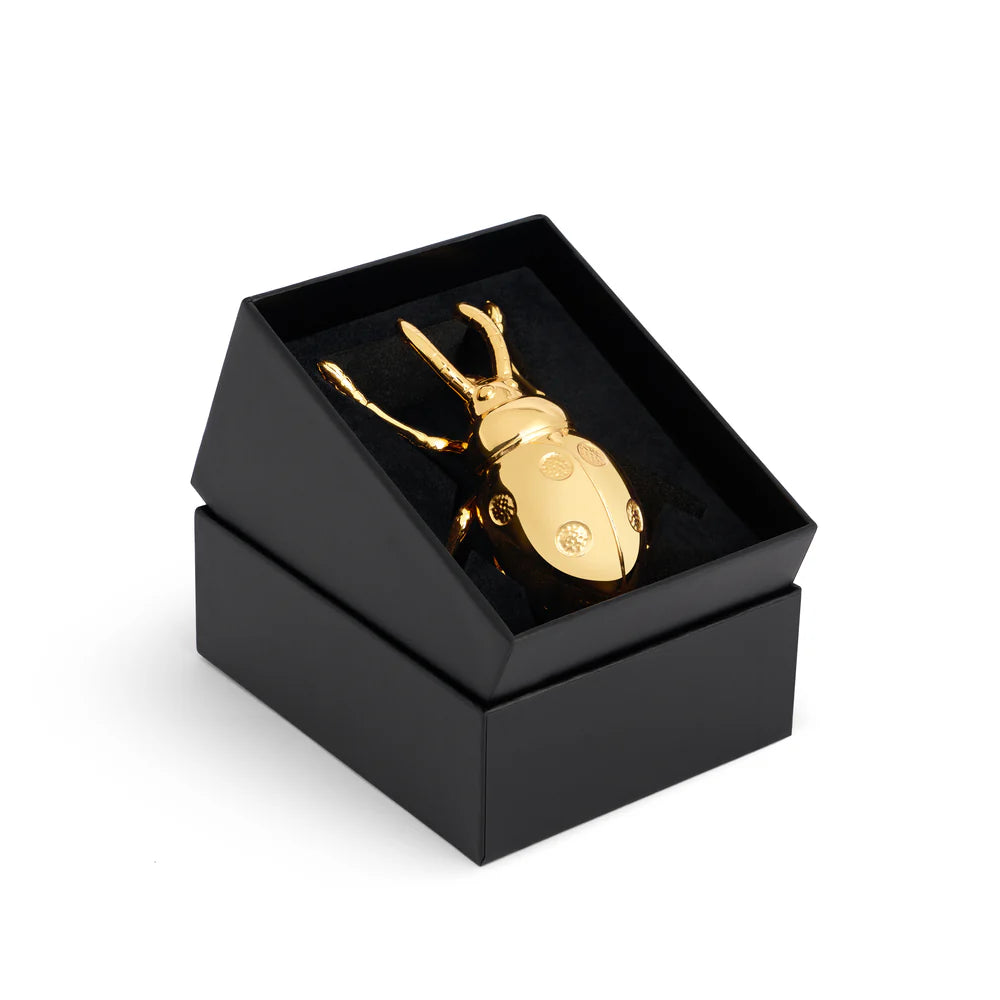 Desfăcător de sticle Ladybug