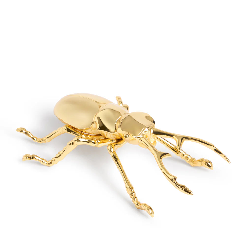 Desfăcător de sticle Longhorn