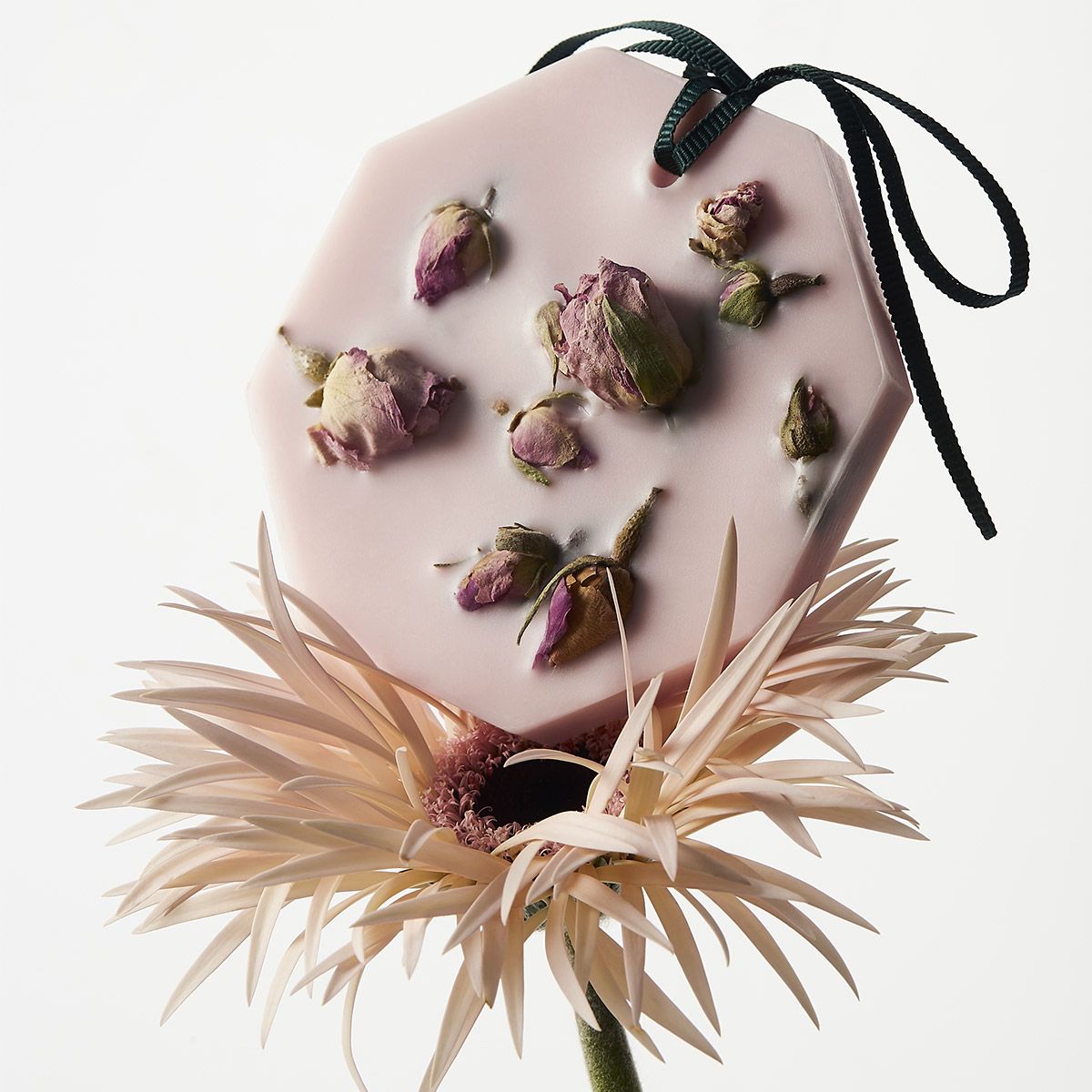 Palete botanice La Rose Aime la Menthe