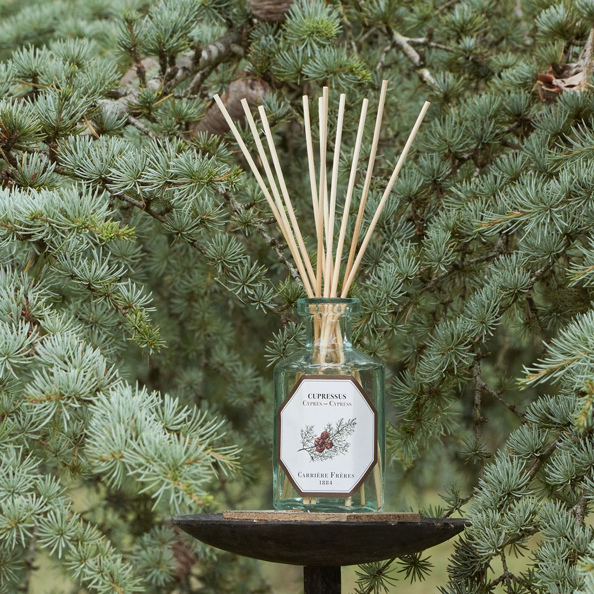 Difuzor de parfum Chiparos