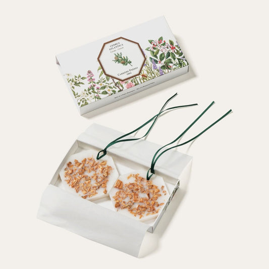 Palete botanice Cedru